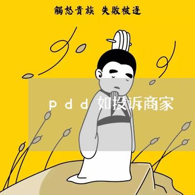 pdd如投诉商家/2023022639603