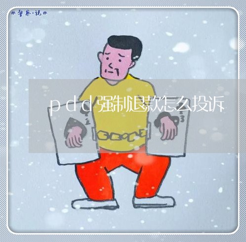 pdd强制退款怎么投诉/2023032727958