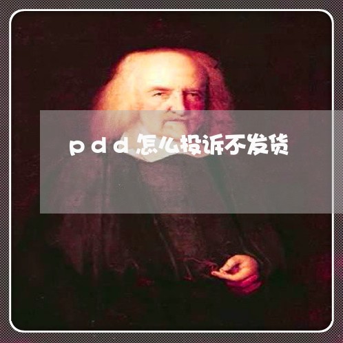 pdd怎么投诉不发货/2023040416150