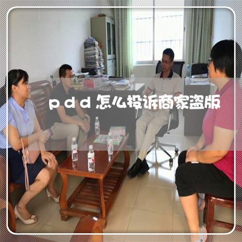 pdd怎么投诉商家盗版/2023022862595