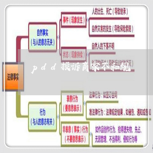 pdd投诉商家不和规/2023022617047