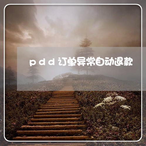 pdd订单异常自动退款/2023032547279