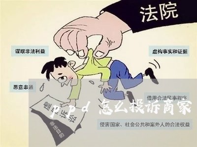 ppd怎么投诉商家/2023022628170