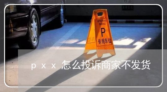 pxx怎么投诉商家不发货/2023030282938