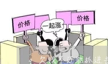 q欠钱不还能抓进去吗/2023092853624