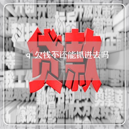 q欠钱不还能抓进去吗/2023092873148