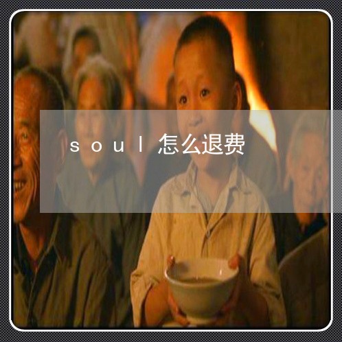 soul怎么退费/2023042952793