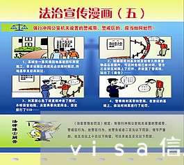 visa信用卡逾期10天/2023112506049