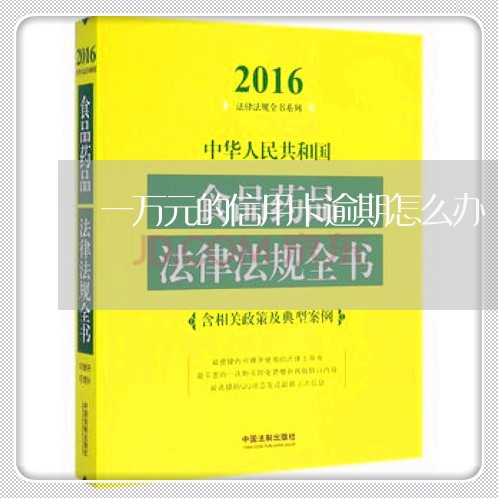 一万元的信用卡逾期怎么办/2023051102615