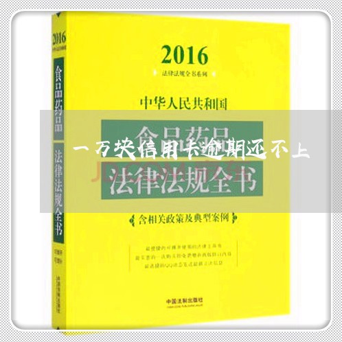 一万块信用卡逾期还不上/2023121812605