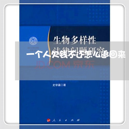 一个人欠钱不还怎么追回来/2023120582715