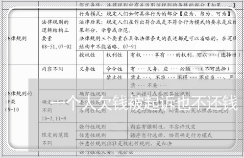 一个人欠钱被起诉也不还钱/2023111118280