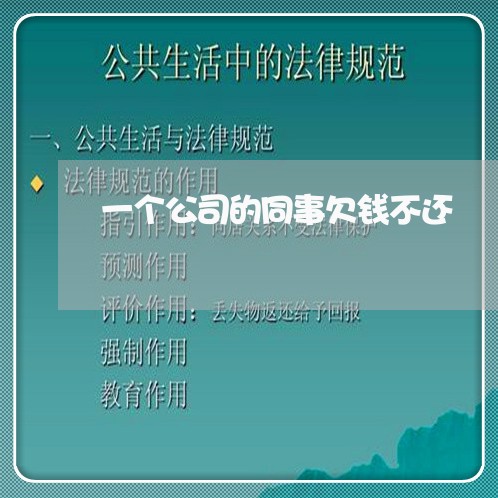 一个公司的同事欠钱不还/2023110662692