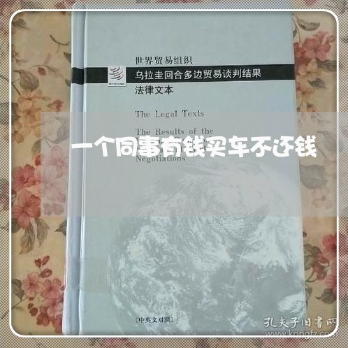 一个同事有钱买车不还钱/2023120584625