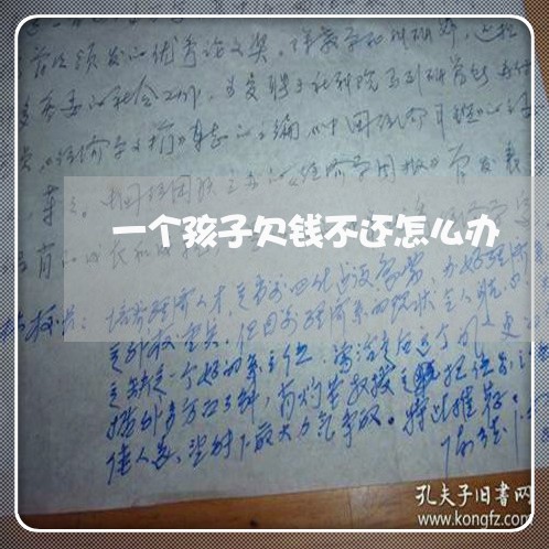 一个孩子欠钱不还怎么办/2023110814138