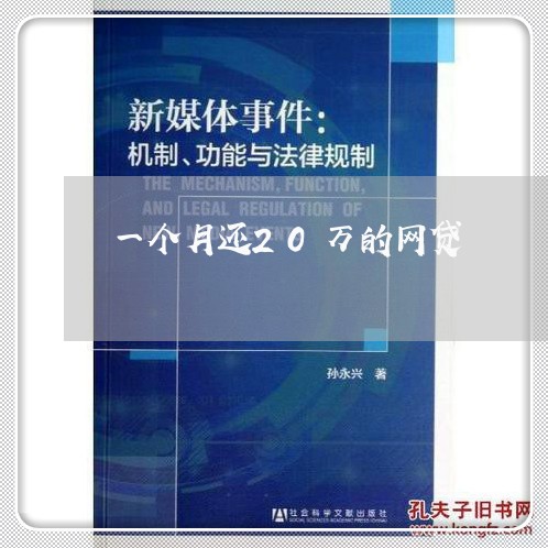 一个月还20万的网贷/2023112346937