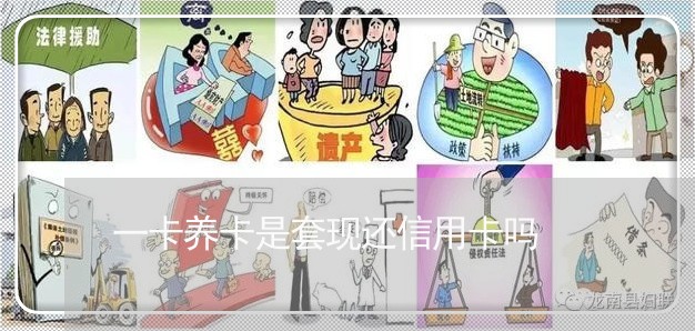 一卡养卡是套现还信用卡吗/2023080317070