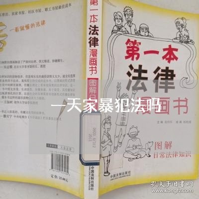 一天家暴犯法吗/2023121807260