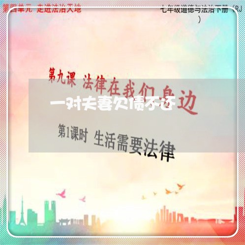 一对夫妻欠债不还/2023102539461