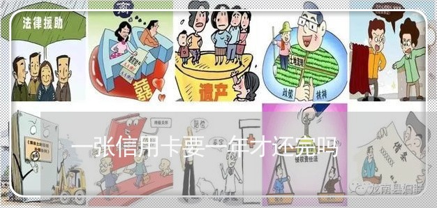 一张信用卡要一年才还完吗/2023111494805