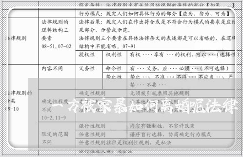 一方被家暴如何离婚呢法律/2023111404027