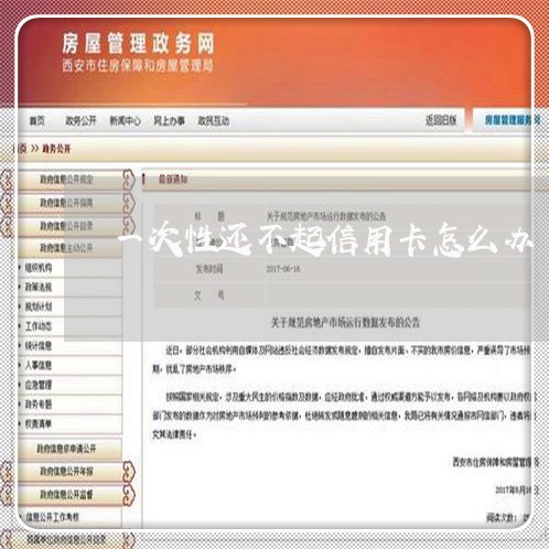 一次性还不起信用卡怎么办/2023061994704