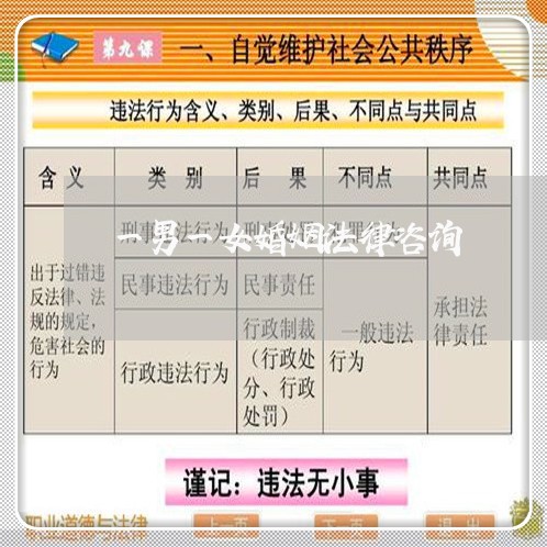 一男一女婚姻法律咨询/2023081398048