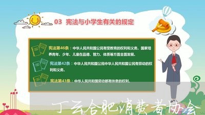 丁云合肥消费者协会/2023060813826