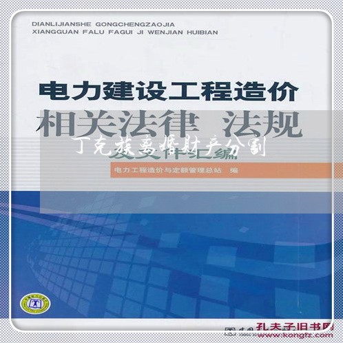 丁克族离婚财产分割/2023110632694