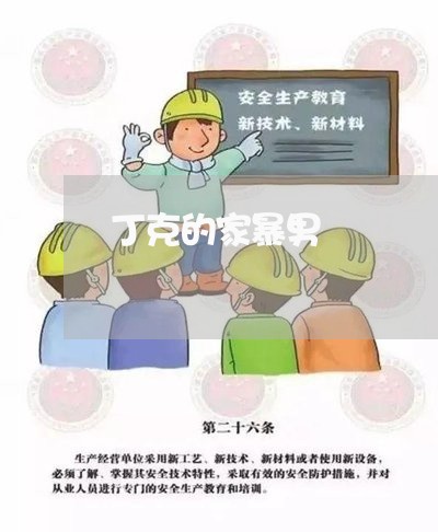 丁克的家暴男/2023082590503