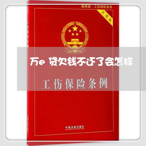 万e贷欠钱不还了会怎样/2023092615938