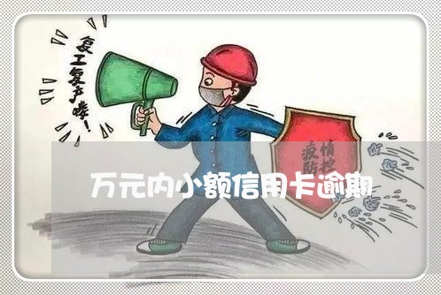 万元内小额信用卡逾期/2023121586517