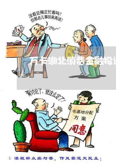 万卡湖北消费金融投诉/2023030559250