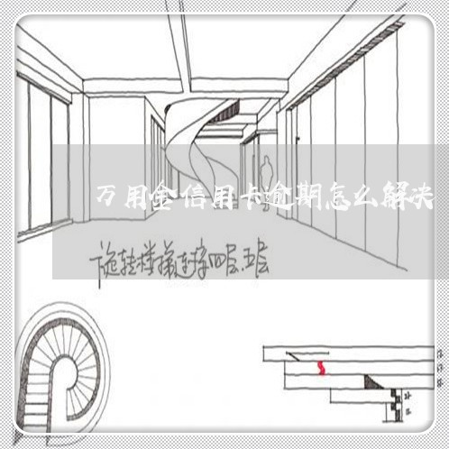 万用金信用卡逾期怎么解决/2023050419369