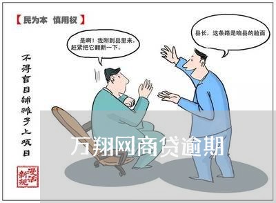 万翔网商贷逾期/2023100871693