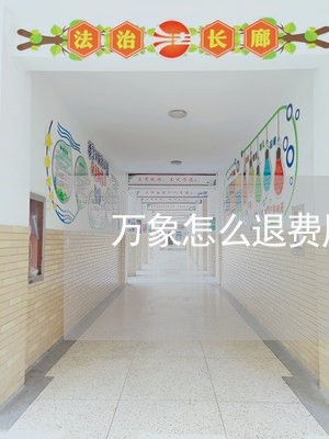 万象怎么退费用/2023042036250