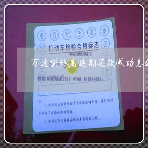 万达贷协商延期还款成功怎么办啊/2023081379382