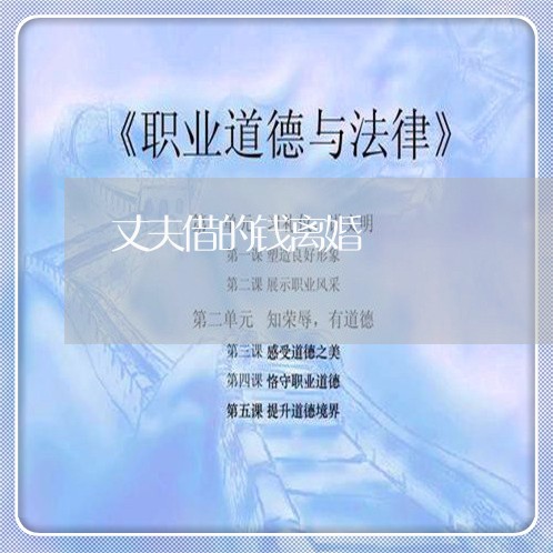 丈夫借的钱离婚/2023121639460