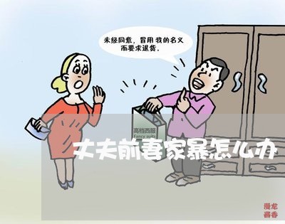 丈夫前妻家暴怎么办/2023110737249