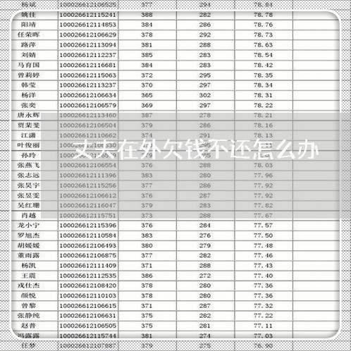 丈夫在外欠钱不还怎么办/2023111050401