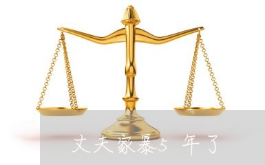 丈夫家暴5年了/2023121350624