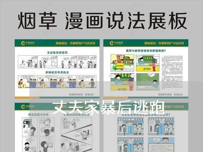 丈夫家暴后逃跑/2023090822838