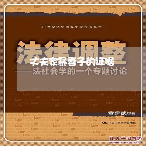 丈夫家暴妻子的证据/2023110695946