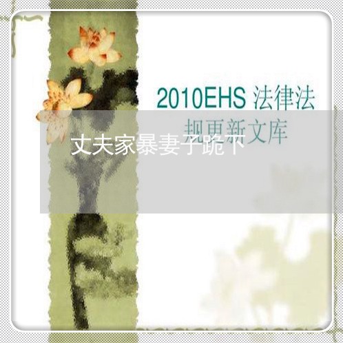 丈夫家暴妻子跪下/2023101193736