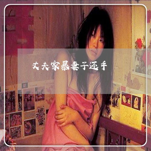 丈夫家暴妻子还手/2023100882615