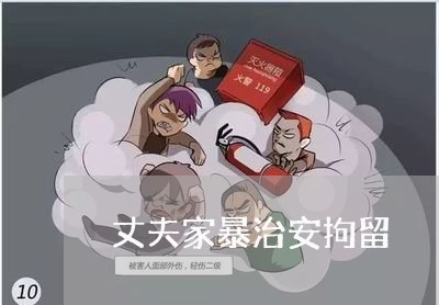 丈夫家暴治安拘留/2023092940572