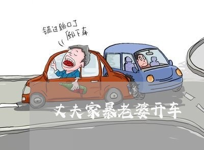 丈夫家暴老婆开车/2023100904826