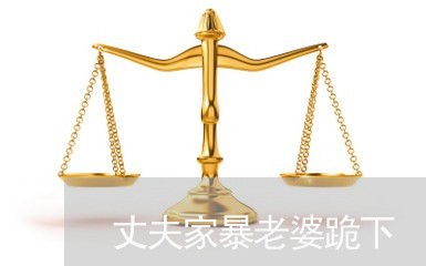 丈夫家暴老婆跪下/2023100816037