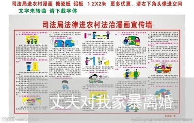 丈夫对我家暴离婚/2023092313837