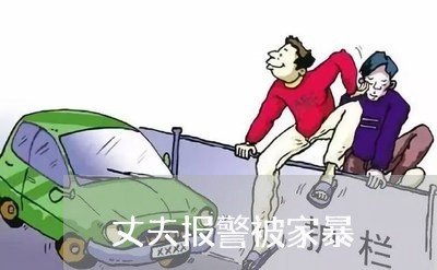 丈夫报警被家暴/2023091240570